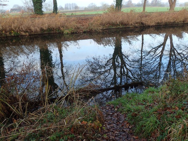 Uittreeplaats voor wild