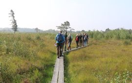 op excursie in het Wooldse Veen