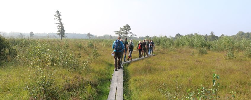 op excursie in het Wooldse Veen