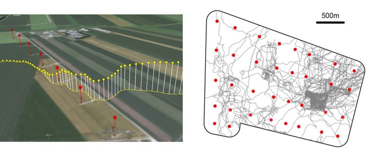 Links: Vlucht van een Grauwe kiekendief door een rij van windturbines in 3D, opgeslagen in hoge resolutie met een UvA-BiTS-GPS-logger. Gele punten: GPS posities kiekendief; rode punten: windturbines; satellietbeeld: Google Earth. Rechts: Bewegingen van een Grauwe kiekendief door een windturbinepark tijdens twee broedseizoenen. Grijze lijnen: vliegbewegingen kiekendief; rode punten: windturbines.