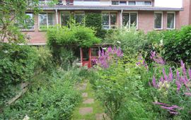 Natuurvriendelijke tuin