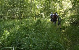Eric Malfait wandelen in natuur