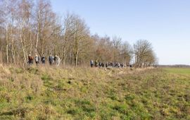 Tijdens een excursie door het gebied laten boswachter en projectleider zien wat er veranderd is in het gebied.