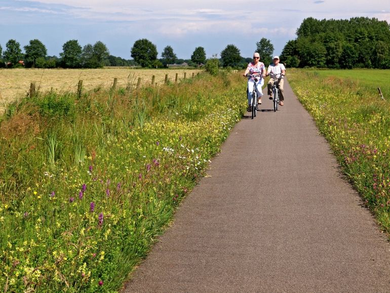 Bloeiende berm langs fietspad Alteveer