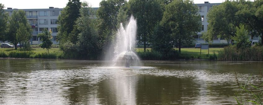 Linievijver in Breda