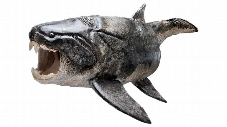 Reconstructie van Dunkleosteus terrelli, behorend tot de groep van de placodermen