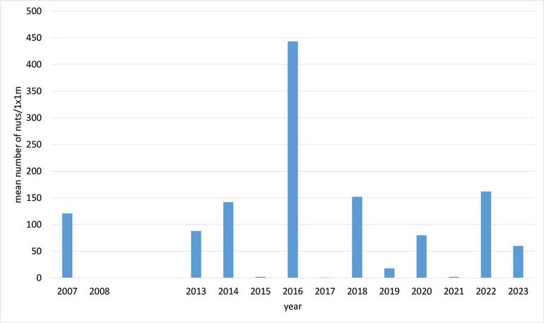 Het gemiddelde aantal gevulde beukennootjes per vierkante meter per jaar in de herfst op de Veluwezoom. In de periode 2009/2012 zijn geen gegevens verzameld
