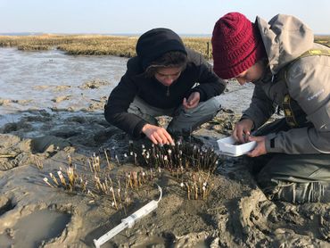 Carlijn Lammers en Clea van de Ven aan het werk