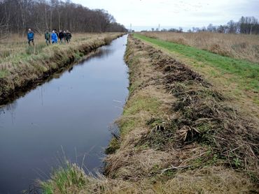 De rigoureus geschoonde sloot in Brandemeer, december 2017