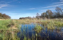 Provincie Utrecht Dwarsdijkerveld