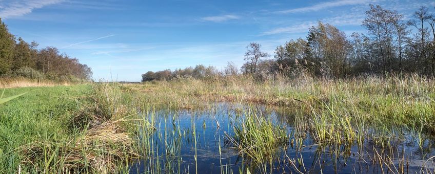 Dwarsdijkerveld