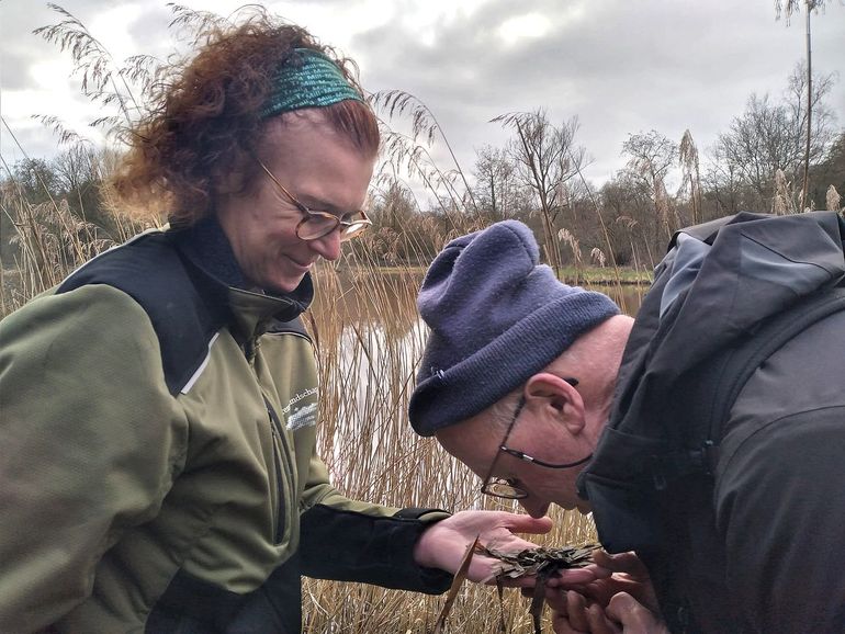 Vrijwilligers ruiken aan een (potentiële) otterspraint