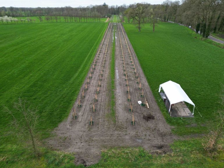 De nieuwe laan op Landgoed Weleveld