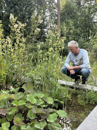 Pieter Swinkels bij zijn natuurlijke (helofyten)waterfilter