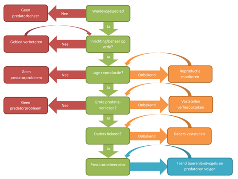Beslisboom voor het maken van de juiste keuzes bij het beheer van predatoren