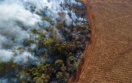 WWF Brazillië Aerial view of triggered forest fire and deforestation for planting soybeans