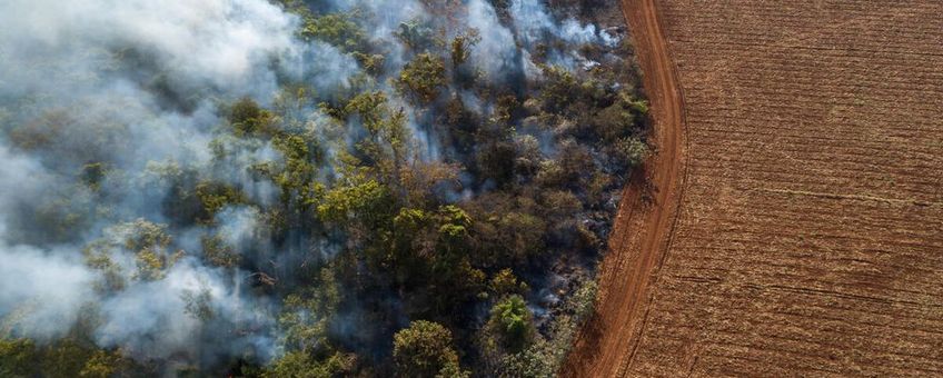 WWF Brazillië Aerial view of triggered forest fire and deforestation for planting soybeans