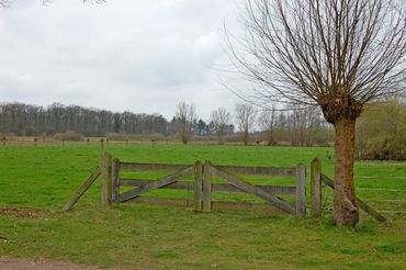 Veel Gelderse natuur is in beheer bij particulieren, zoals hier in de Achterhoek