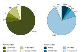 Compendium voor de leefomgeving2011