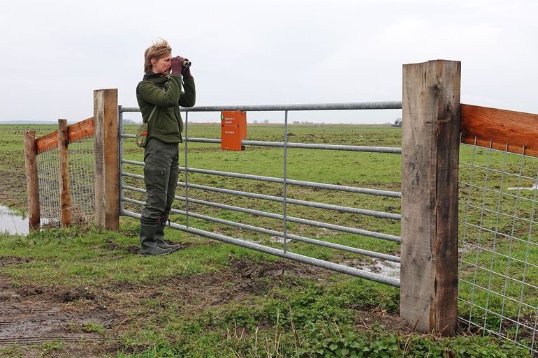 Anne Voorbergen van Staatsbosbeheer in De Kampen