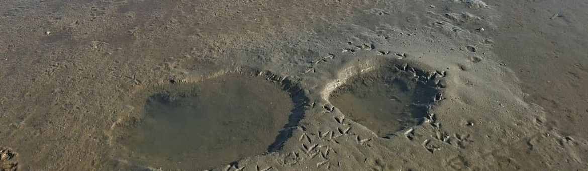 Kuilen in het zand bij Oostvoorne.