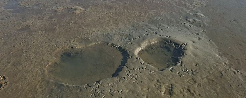 Kuilen in het zand bij Oostvoorne.