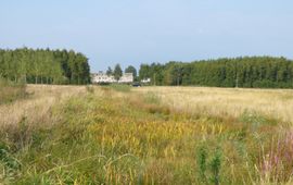 Natuurplaza Park Lingezegen