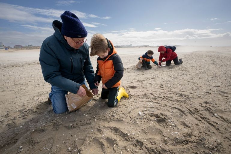 Vorig jaar werd enthousiast geteld in Katwijk