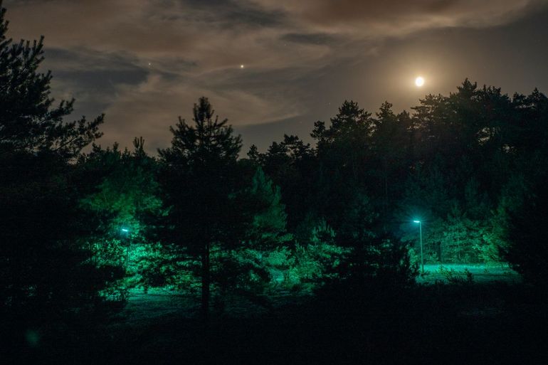 Green lighting is usually not a good idea when it comes to preserving biodiversity