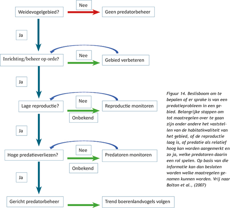 Wel of niet predatoren beheren? Sovon beslisboom
