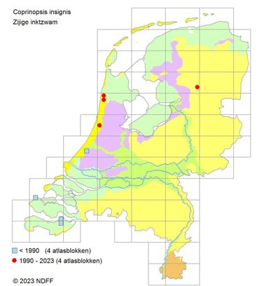 Verspreidingskaartje Zijige inktzwam