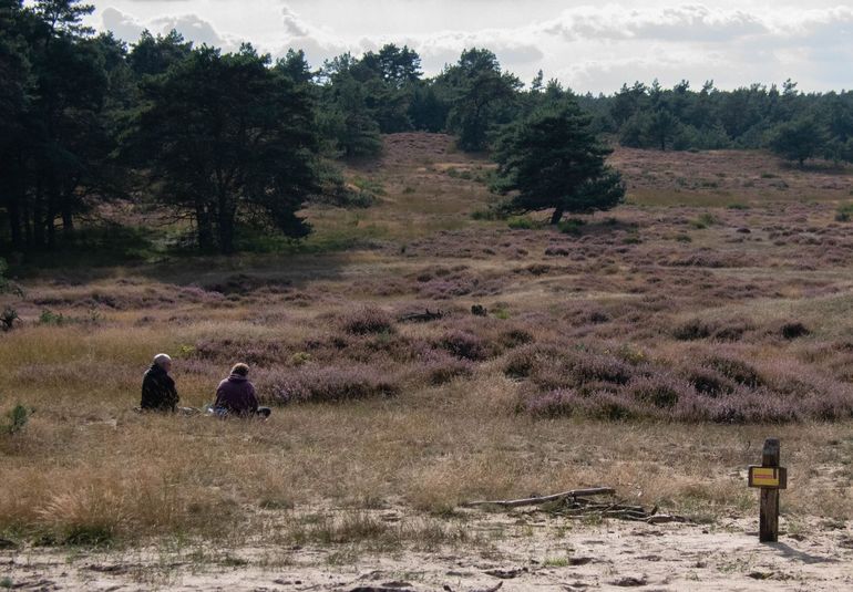 Het aantal recreanten op de Veluwe neemt steeds verder toe, ook buiten de paden