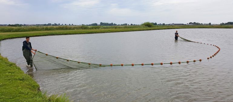 De natuurvriendelijke oevers zijn met een kleine zegen bemonsterd