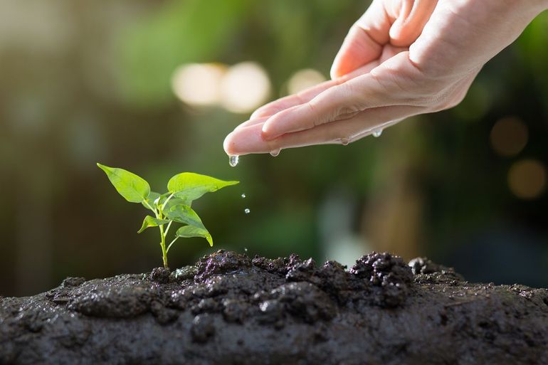 Planten kunnen alleen maximaal presteren als de bodem meewerkt