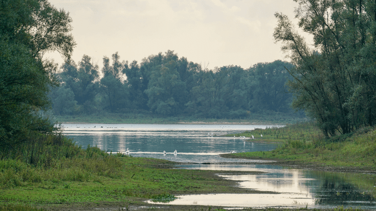 Typische riviernatuur gedijt goed bij afwisseling van nat en droog