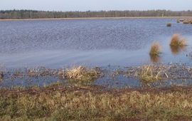 Loodiep Marsstroom nabij Meppen