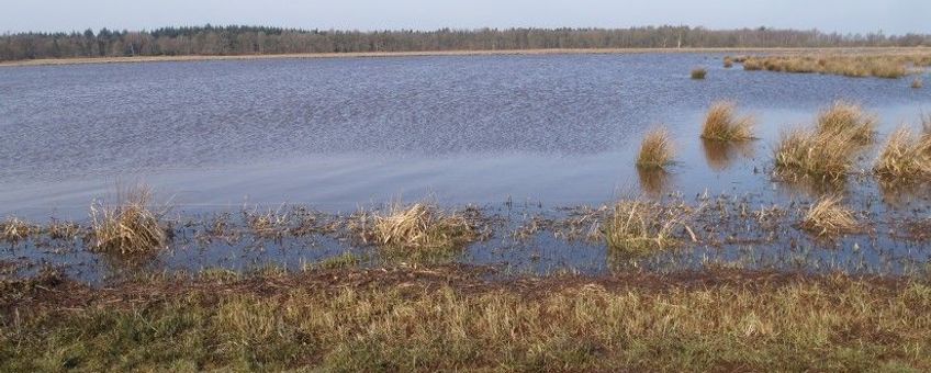 Loodiep Marsstroom nabij Meppen