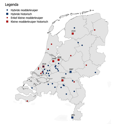 Verspreiding Modderkruipers