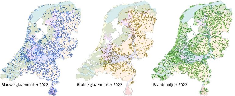 Kaartjes met de waarnemingen van de drie glazenmakers uit 2022