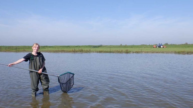 Afgelopen september inventariseerde stagiaire Nina Out welke vissoorten en vegetatie nu – tien jaar later – in de Zandbraak voorkomen
