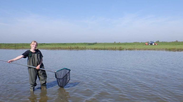 Afgelopen september inventariseerde stagiaire Nina Out welke vissoorten en vegetatie nu – tien jaar later – in de Zandbraak voorkomen