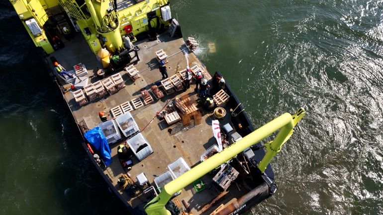 Honderd korven aaneengeregen gaan van boord en staan nu op de bodem van de Noordzee