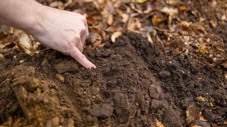 In de bovenste laag van de grond speelt het meeste bodemleven zich af. De zandige en grindhoudende laag eronder bevat de meeste gebonden mineralen