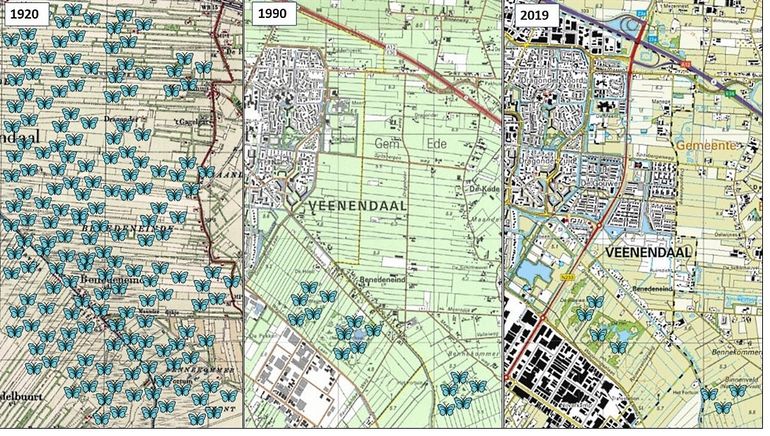 Achteruitgang vlinders in een veranderend landschap, fictief voorbeeld omgeving Veenendaal