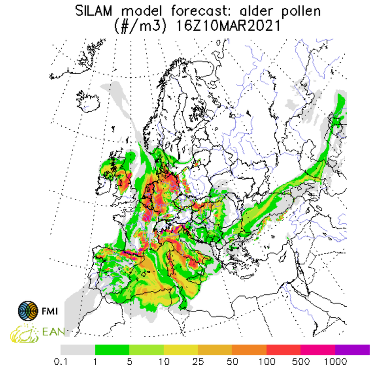 Europese verwachting voor de elzenpollenconcentratie op 10 maart 2021 om 16 uur gegenereerd op 8 maart met het SILAM-model