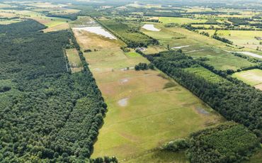 ARK heeft de afgelopen jaren veel nieuwe natuur toegevoegd aan het Kempen~Broek, waardoor geïsoleerde gebieden met elkaar werden verbonden