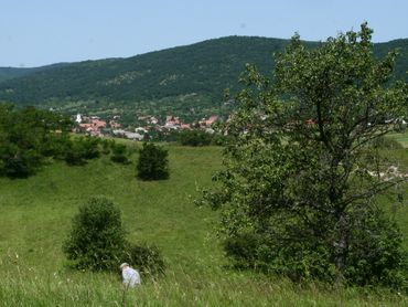 Scientists from all over Europe were present. Some of the problems are everywhere, but there are also clear differences between North-West and South-East Europe