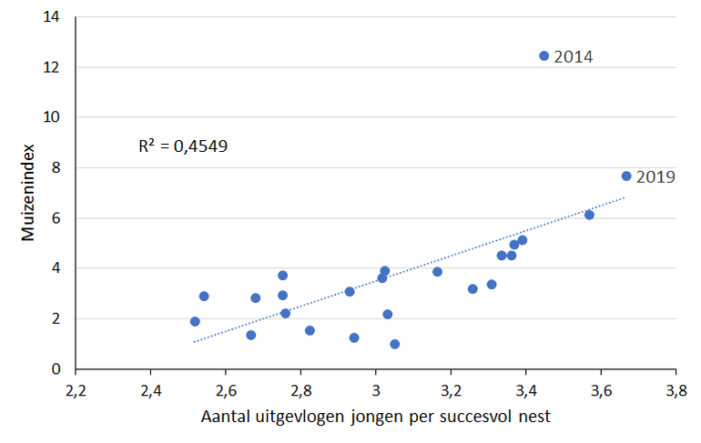 In jaren met een hoge muizenindex (gebaseerd op de hoeveelheid aangetroffen muizenprooien in steenuilkasten) vliegen er gemiddeld meer jongen per succesvol broedsel uit. 2014 en 2019, beide jaren met een muizenpiek, zijn uitgelicht