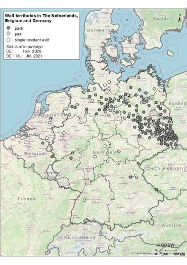 Territoria van de wolf in Nederland, België en Duitsland