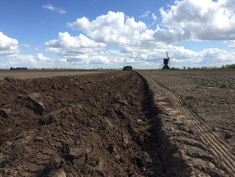 Een opgeploegde keverbank bij Oude Doorn